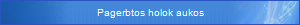 Pagerbtos holok aukos