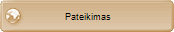 Pateikimas