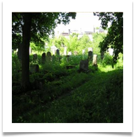 Inside the Cemetery 2