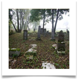 Jewish Cemetery 2008 4