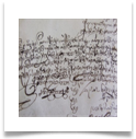 VILK PINCUS 157